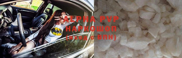 гашик Пестово