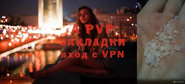 дживик Переславль-Залесский
