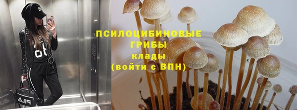 эйфоретик Осташков
