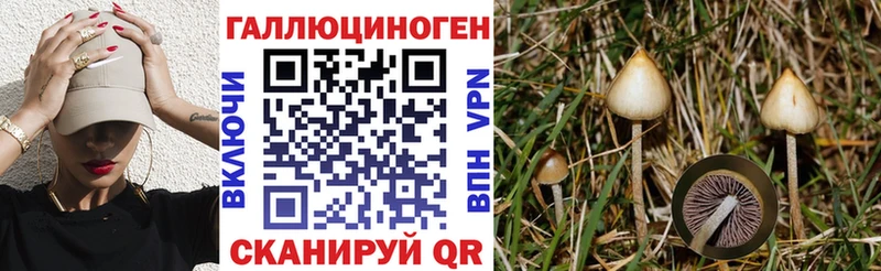 Галлюциногенные грибы Magic Shrooms Пудож