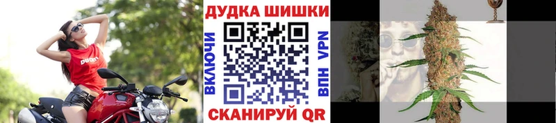 что такое   Пудож  kraken вход  МАРИХУАНА SATIVA & INDICA 